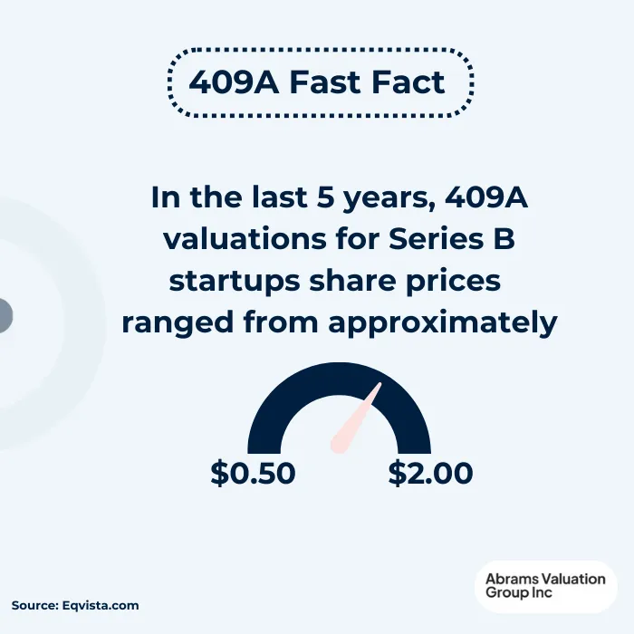 409A Valuations Series B Facts AVGI