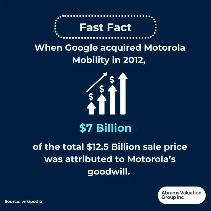 Goodwill in Business Example AVGI