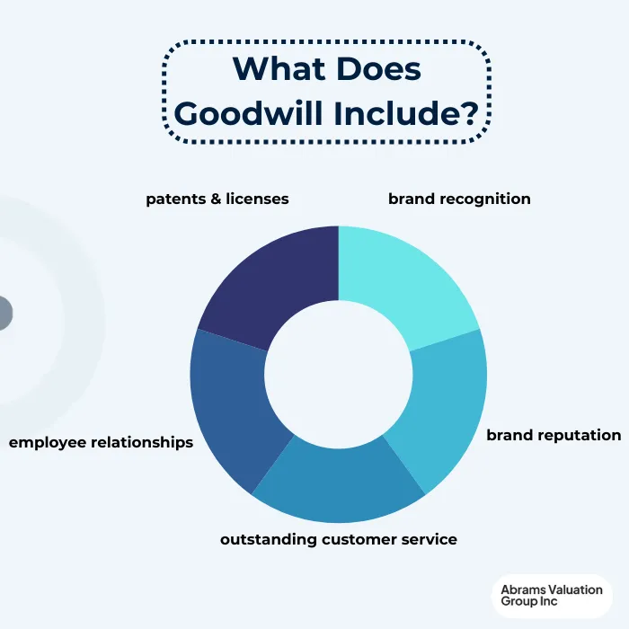 Goodwill in Business Includes AVGI