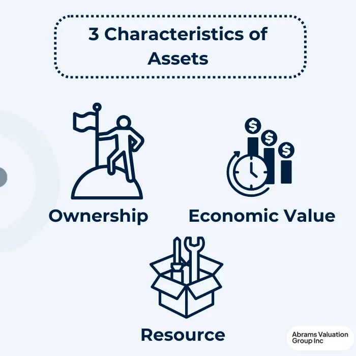 Different Types of Assets 3 characteristics AVGI