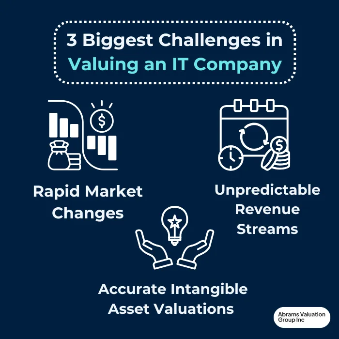 Valuation of IT Company 3 Challenges AVGI