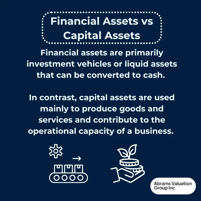 financial assets vs capital assets AVGI