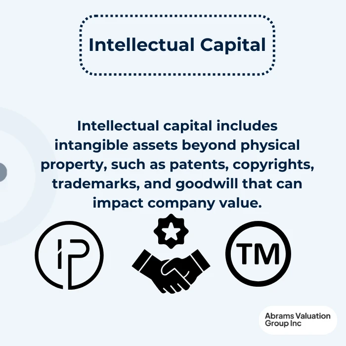 Business Valuation Documents IP AVGI