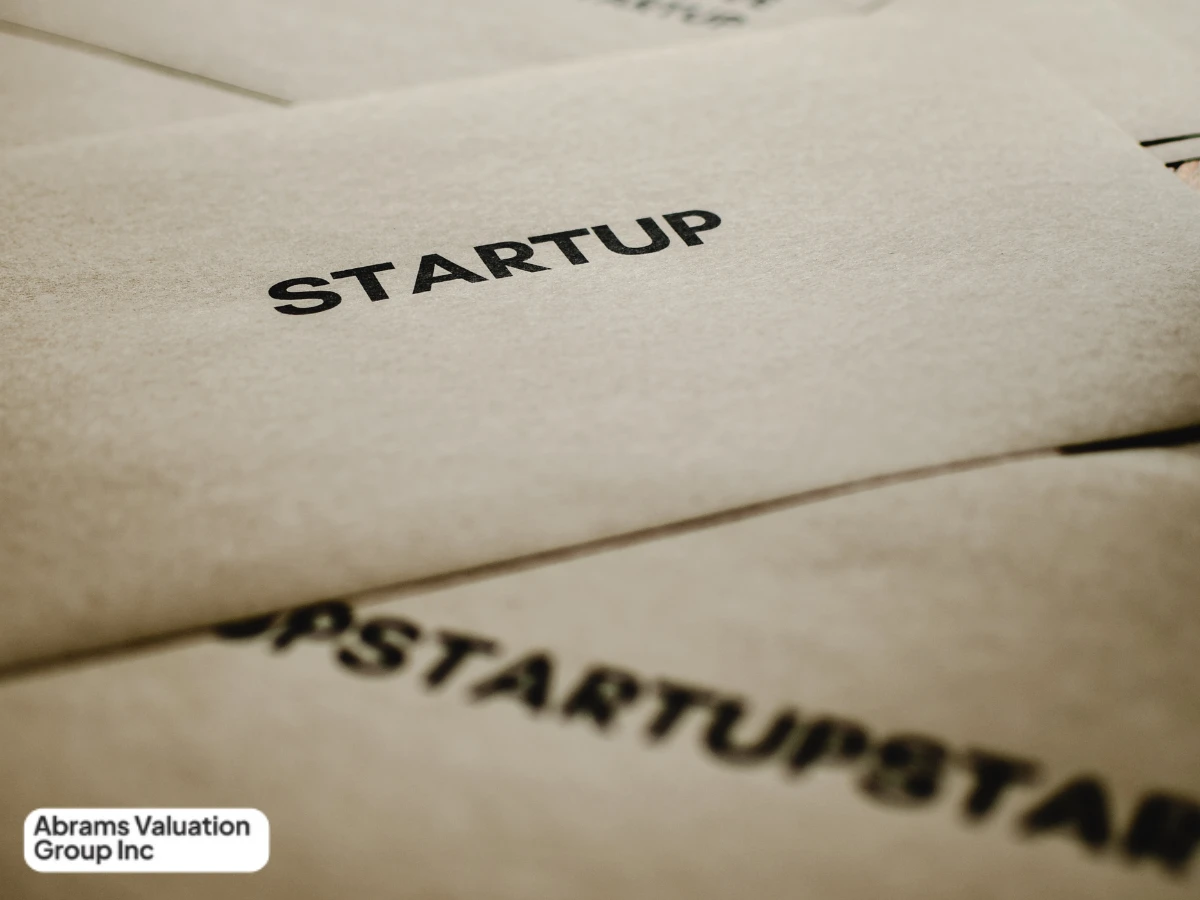 Pre Revenue Valuation Featured image AVGI