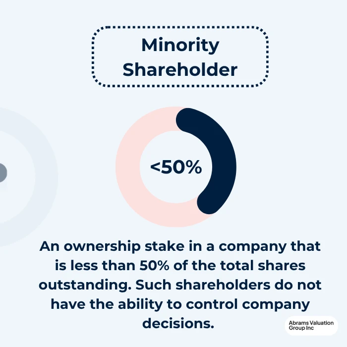 MInority Share definition AVGI