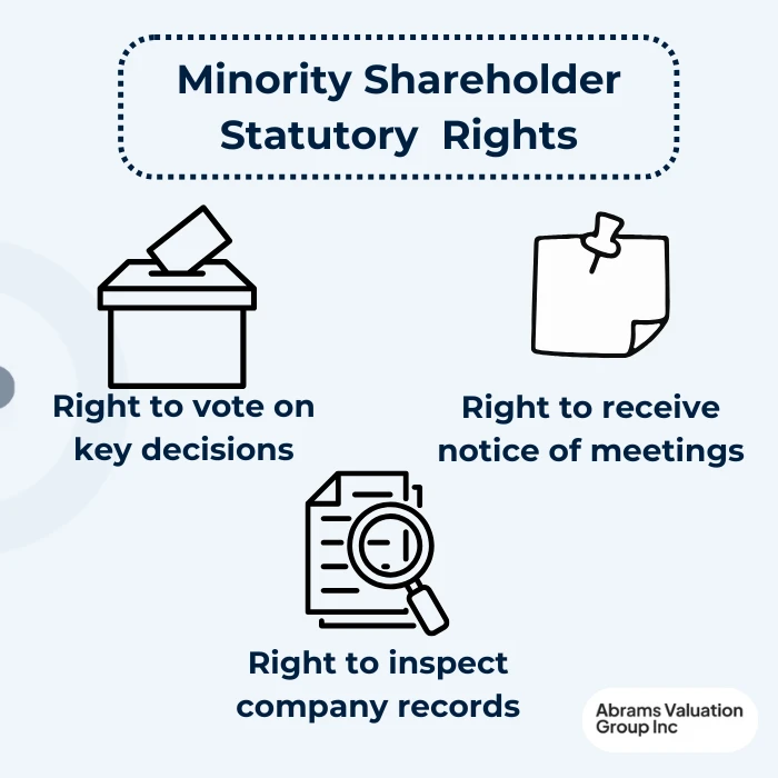 MInority Share statuatory rights AVGI