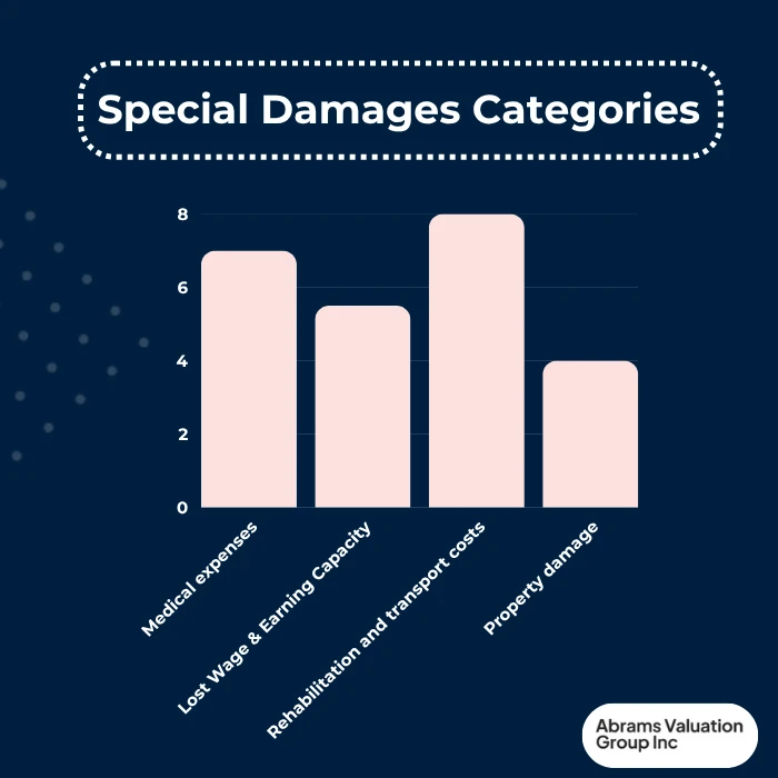 Special Damages Categories AVGI