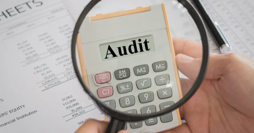 Valuation Audit Featured image AVGI