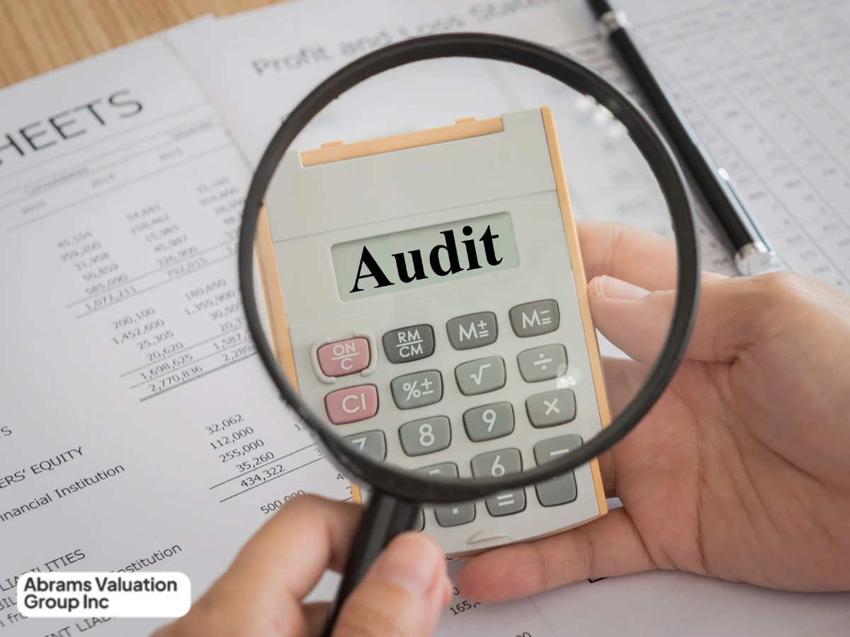 Valuation Audit Featured image AVGI